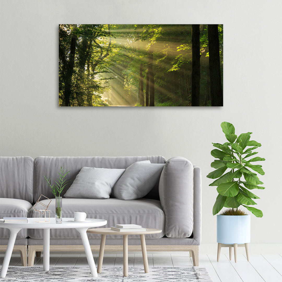 Wald in der Sonne - Ungerahmte Kunstdrucke auf Leinwand