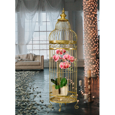 Cage à oiseaux Eveloe