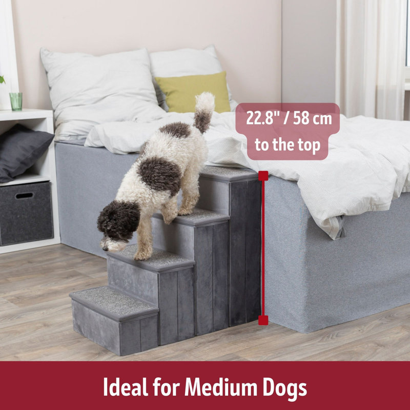 TRIXIE Pawsome Ascent Foldable 4-Step Pet Stairs with Storage, Collapsible, Storage Compartments for Toys