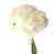 Milky White is out of stock