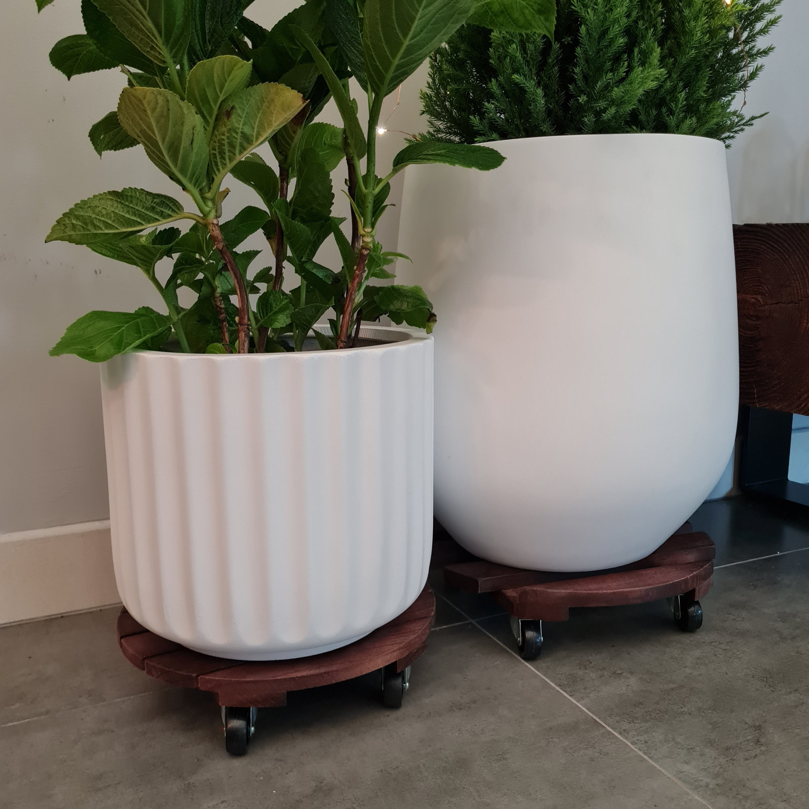 Allenville Pot Planter, White, 10" H x 11.5" W x 11.5" D
