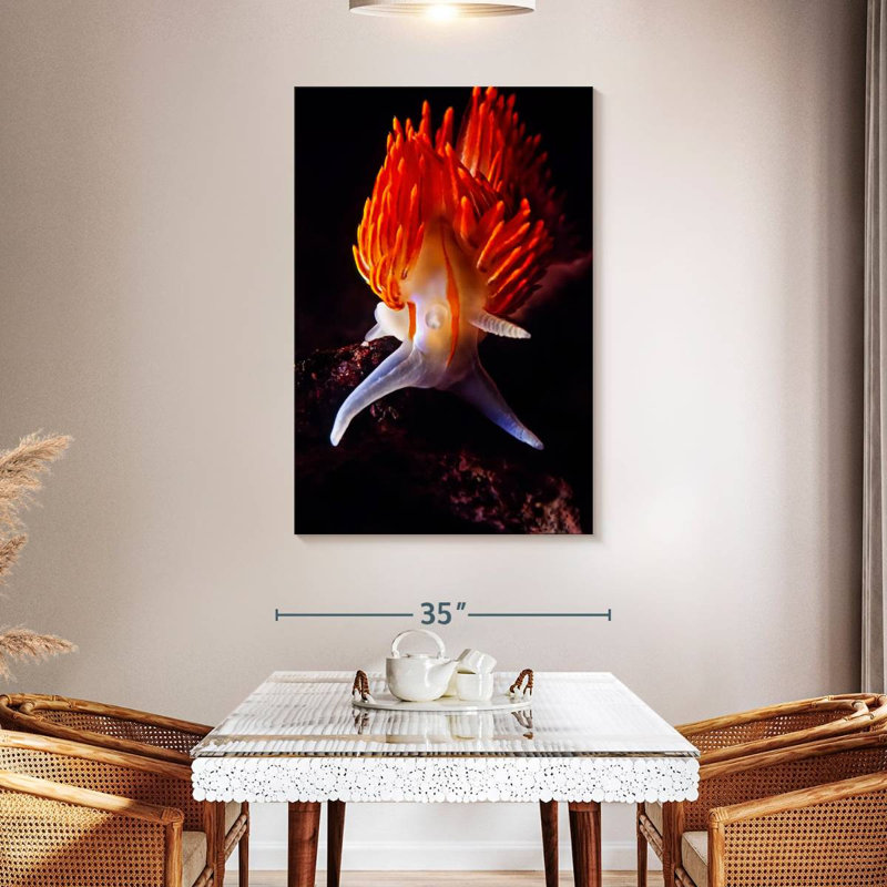 Thick Horned Nudibranch, 48" H x 32" W
