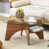 Transparent / noyer est en rupture de stock
