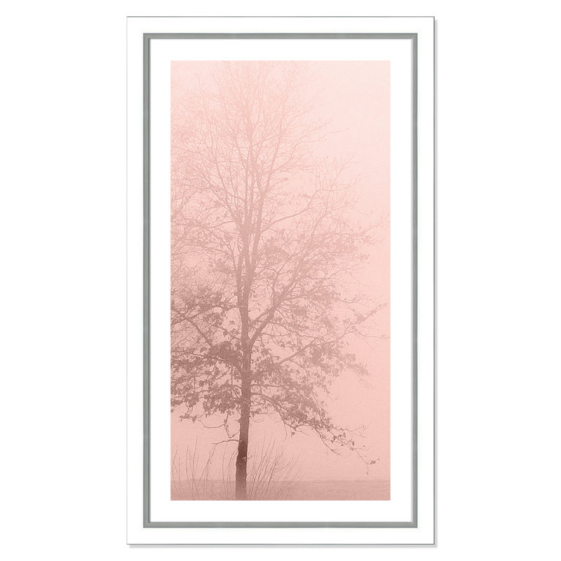 «Pinkest Dawn I», reproduction encadrée, Blanc, H 27,75 po x l 47,75 po x P 1,13 po