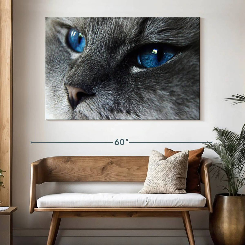 Chat Brampt aux yeux bleus, H 34 po x l 51 po