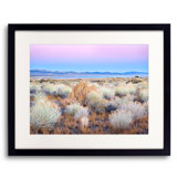 Mono Lake Twilight With Rabbitbush Print by Bruce Heinemann