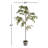 84'' Faux Maple Tree Tree in Ceramic Pot