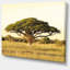 Acacia sur une plaine d'Afrique - reproduction de photo-692519007-697528487