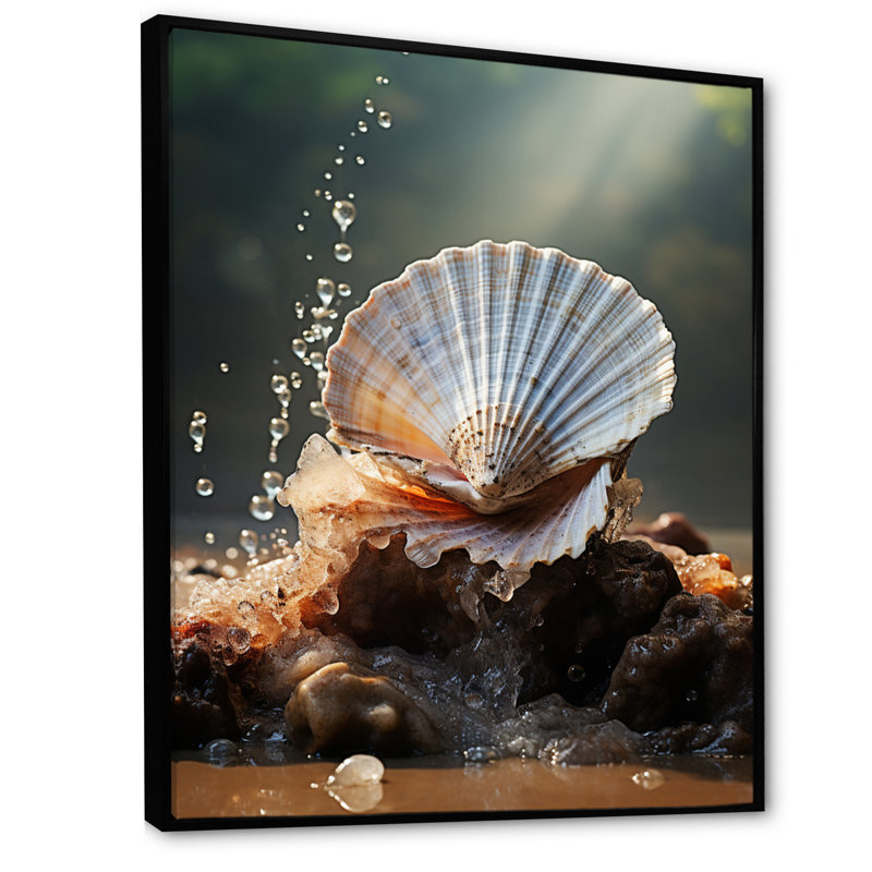 White Seashell Close Up II - Animals Canvas Art Print, H 32 po x l 16 po x P 1 po, Cadre flottant noir