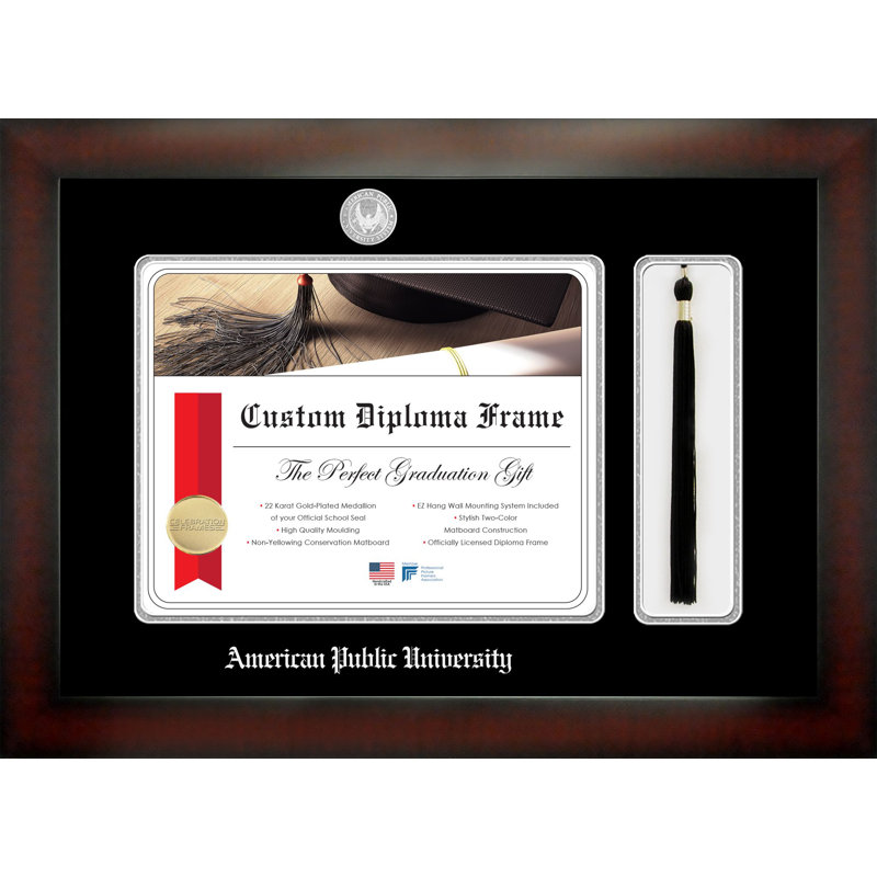 American Public University Picture Frame