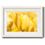 Sunshine Yellow II - impression d'un seul cadre photo-1807981069-1807981066