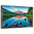 Floating Frame Gold