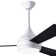 Donaire LED Outdoor Ceiling Fan