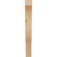 Attelle de genou Funston-1812888342-1812888345-1803675905