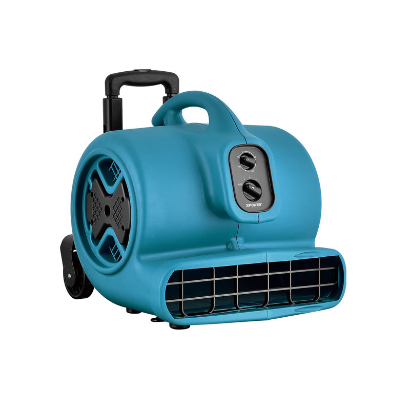 Ebern Designs 46.5cm Fan