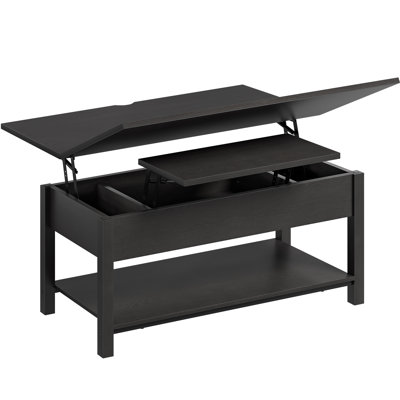 Torron Lift Top Coffee Table with Storage 