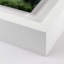 Eerie Trees IV Print by Jakob Wagner-48617436-48617435