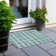Tapis Colzie