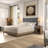 Arinola Upholstered Platform Bed-1863518042