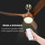 132cm Ceiling Fan with Light Kit