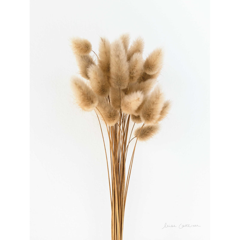 «Dried Bouquet I», reproduction sur toile tendue, H 40 po x l 30 po x P 1,25 po