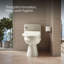 C3® 155 Cleansing Elongated Toilet Seat-991611156