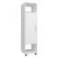 Armoire, H 62,9 po, avec 1 porte, 3 tablettes et miroir pleine grandeur, blanc