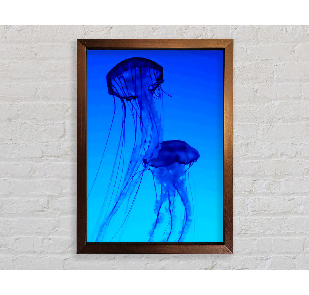 Gerahmtes Leinwandbild Jellyfish Duo