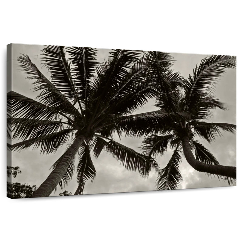 Harnek Palms At Night V, H 26 po x l 39 po