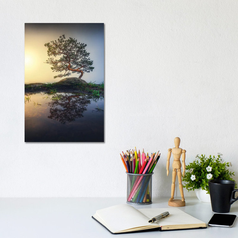 Bonsai by Lauri Lohi - Wrapped Canvas Print, 20.32 cm H x 30.48 cm W