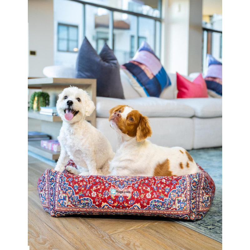Tapis pour lit de qualité supérieure Rugs.com, H 7,5 po x l 16 po x P 20 po