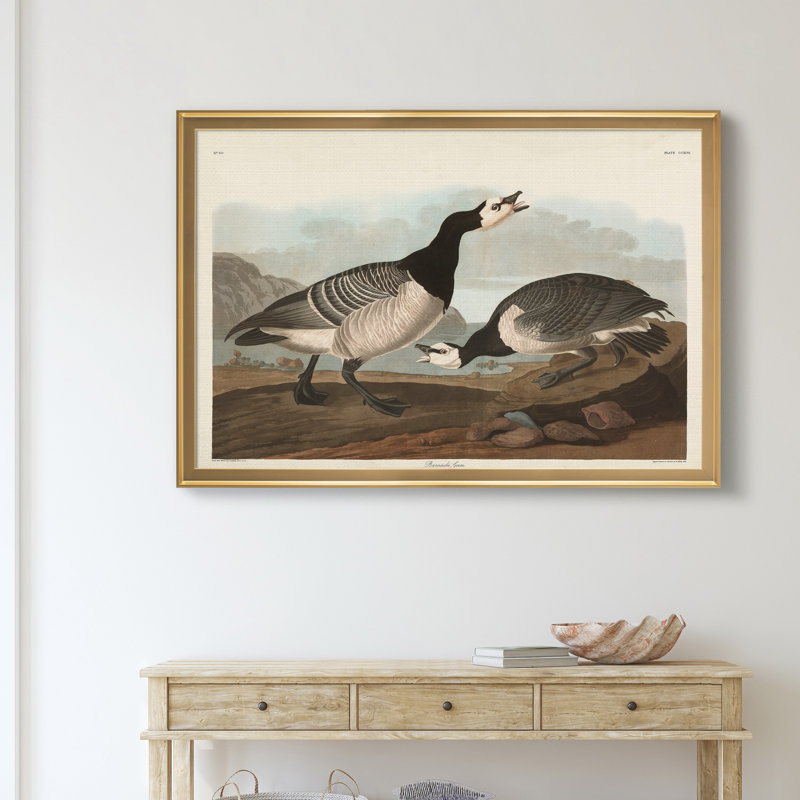 Barnacle Goose - reproduction d'art sur toile, H 26,5 po x l 36,5 po x P 1,5 po, Doré