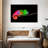Rainbow Chameleon
