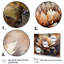 «Roverta Brown Green Cactus Flower I», reproduction sur toile-88530726-88530728