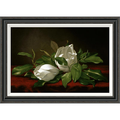 " Magnolia " by Martin Johnson Heade
