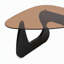 Tables basses en verre Table basse de style campagnard Mid-Century-1964020126-1964020128