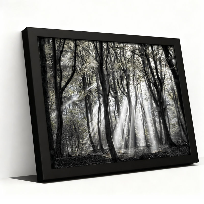 Ensemble de 1 tableau mural sur toile tendue « Rayon de lumière en forêt », H 12 po x l 18 po, Cadre photo unique, Noir