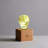 Solid Wood Novelty Lamp