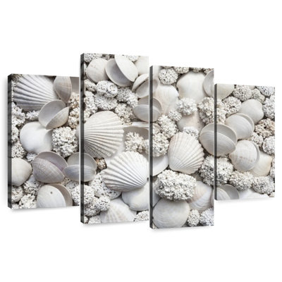 Coquillages blancs Aletra