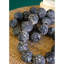 Perles de table Benham Kimberlin