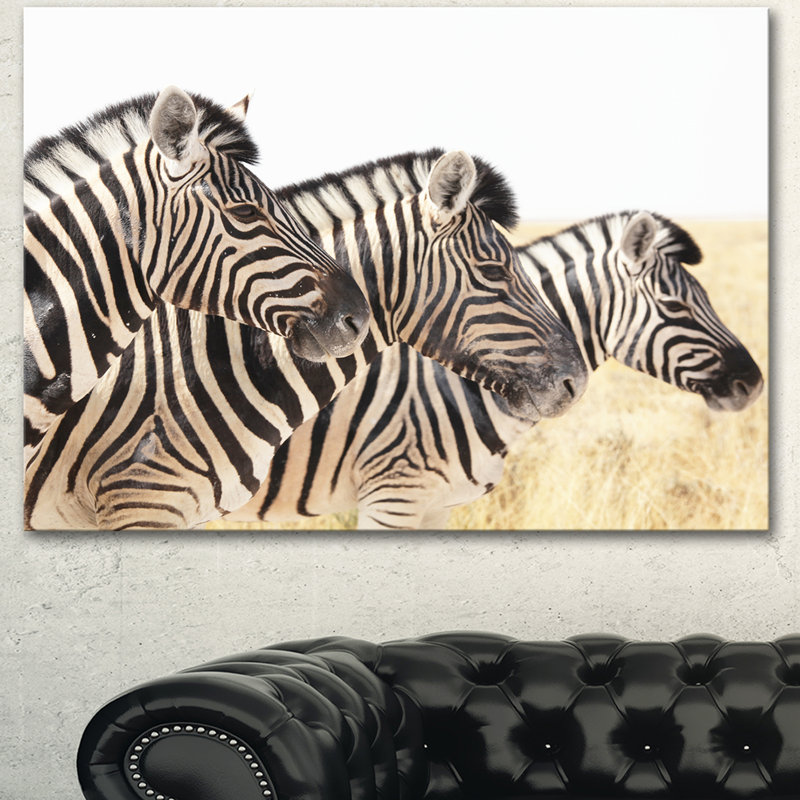 «Zebras in a Row in Grassland», reproduction de photo sur toile tendue, H 12 po x l 20 po