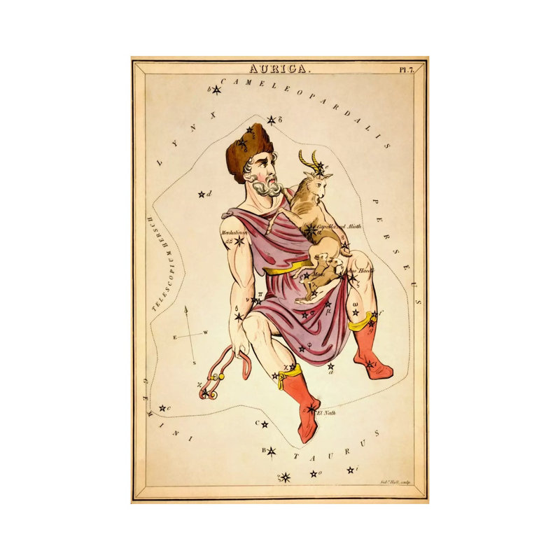 Auriga, 1825 by Sidney Hall - Wrapped Canvas Gallery-Wrapped Canvas Giclée, 101.6 cm H x 66.04 cm W x 1.91 cm D