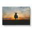 Sunset And Sheep - Wrapped Canvas-61838072