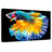 Brampt Multicolored Betta Fish-108907760