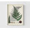 Collection de fougères II, décoration de maison botanique, feuille de fougère, art mural de salon, idée de rénovation de salle de bain rétro, impression d'art mural de bureau vert