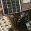 Customer photo 2 of 6