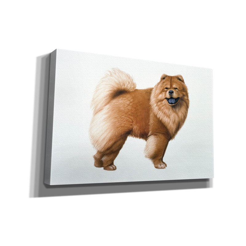 «Chow Chow» par Harro Maass, art mural sur toile, L 18 po x H 12 po x P 0,75 po