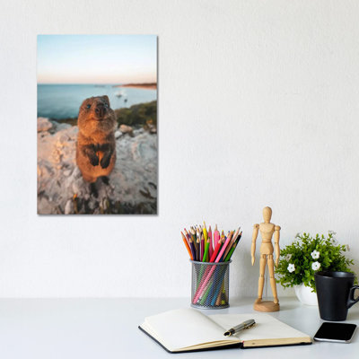 Cute Quokka By The Ocean by James Vodicka - Wrapped Canvas Gallery-Wrapped Canvas Giclée