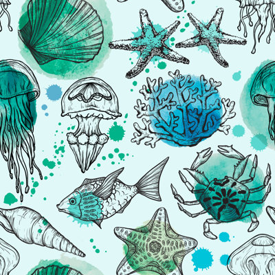 Croquis de coquillages sur toile