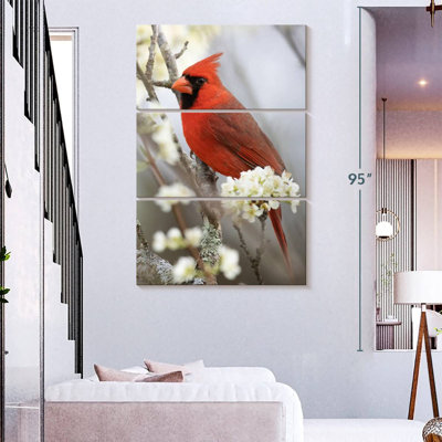 Cardinal Brampt Northern sur une branche fleurie
